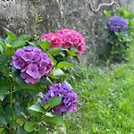 Holiday home Quinta Ameixas - Country & Nature Arouca