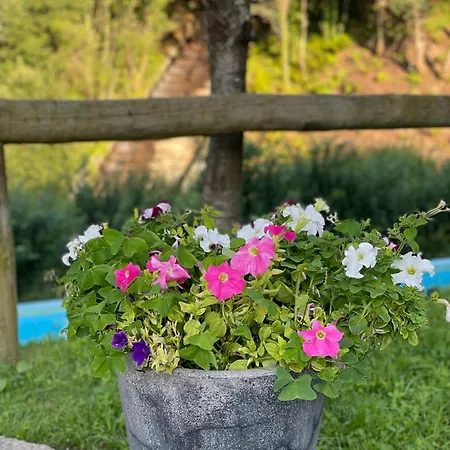 Quinta Ameixas - Country & Nature Arouca