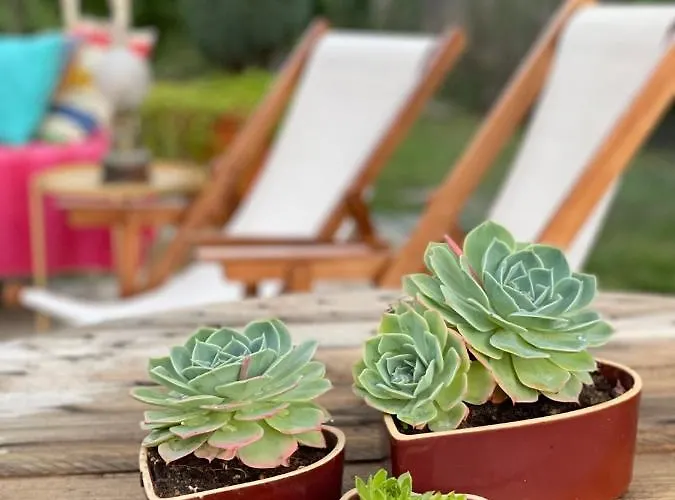 Σπίτι διακοπών Quinta Ameixas - Country & Nature Αρούκα