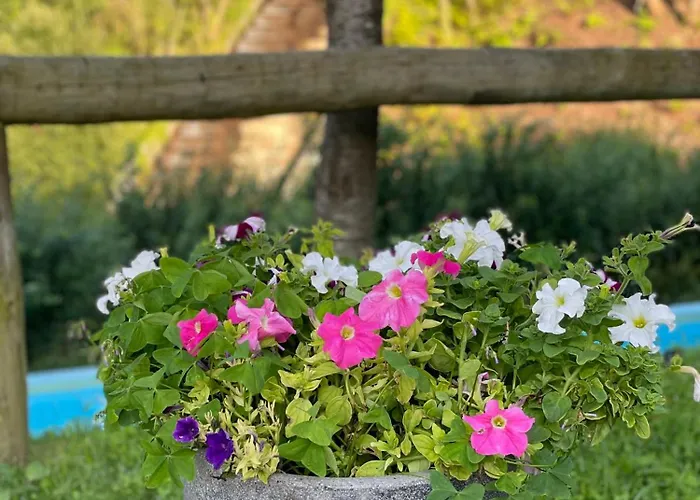 Quinta Ameixas - Country & Nature Arouca