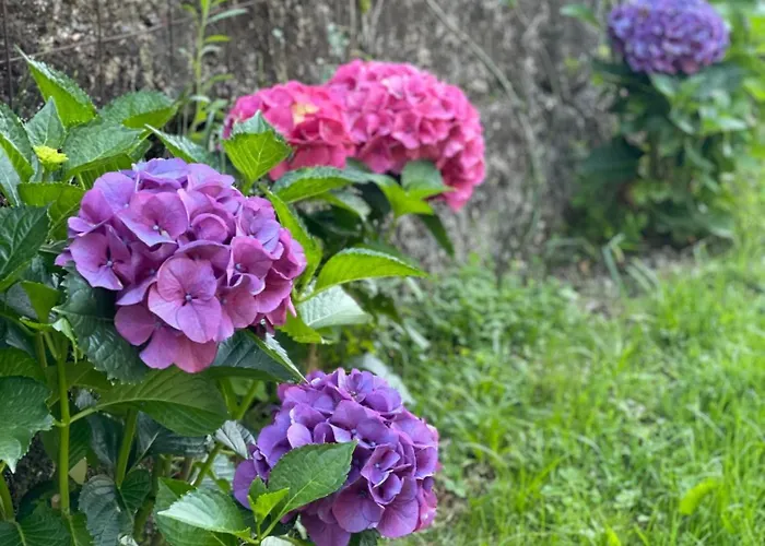 Σπίτι διακοπών Quinta Ameixas - Country & Nature Αρούκα